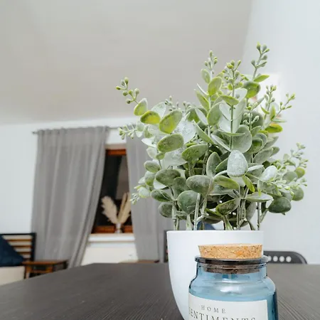 Appartement In Metternich Fuer 5 Personen Coblence